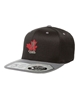 Picture of Snapback Cap