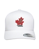 Picture of Trucker Cap (White)